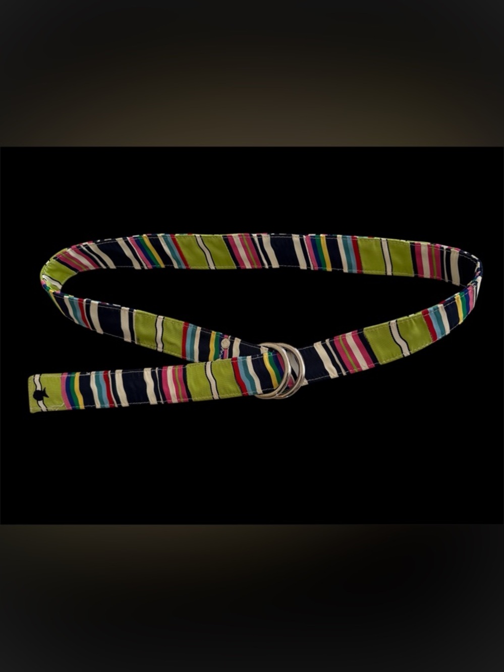 Striped Multicolor Fabric Belt w/ Double Ring Buckle Blue Fish (River) Clothing